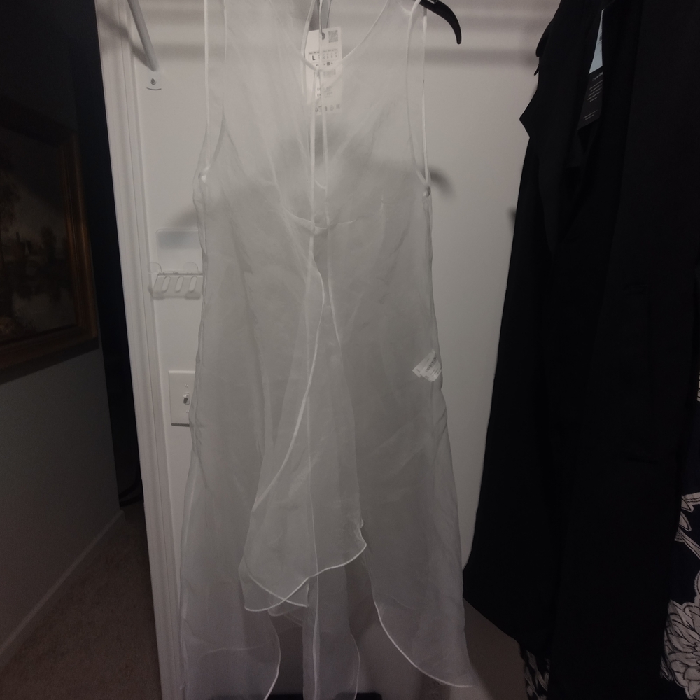Zara White Sheer Organza Dress